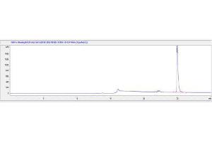 Osteocalcin (BGLAP) peptide (Ovalbumin)
