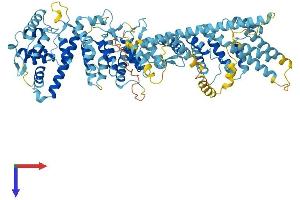 AlphaFold protein structure predicition of Mouse Recombinant Nup93 Protein, UniprotID Q8BJ71