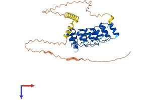 AlphaFold protein structure predicition of Mouse Recombinant Ankra2 Protein, UniprotID Q99PE2
