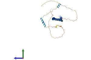 AlphaFold protein structure predicition of Mouse Recombinant Gorab Protein, UniprotID Q8BRM2