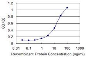 Detection limit for recombinant GST tagged SLC7A8 is 0.