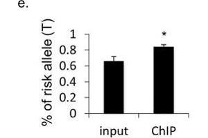 The association of PARP-1 with CCR6DNP is sequence dependent and allele specific.