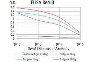 Black line: Control Antigen (100 ng),Purple line: Antigen (10 ng), Blue line: Antigen (50 ng), Red line:Antigen (100 ng)