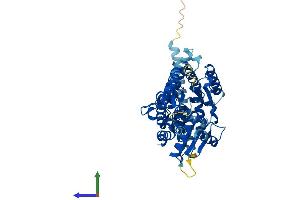 AlphaFold protein structure predicition of Human Recombinant ALG11 Protein, UniprotID Q2TAA5