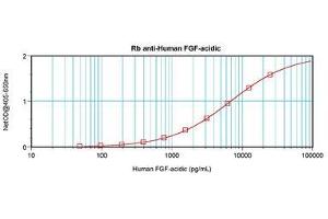 Image no. 1 for anti-Fibroblast Growth Factor 1 (Acidic) (FGF1) antibody (ABIN1498254) (FGF1 anticorps)