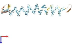 AlphaFold protein structure predicition of Human Recombinant ZNF91 Protein, UniprotID Q05481