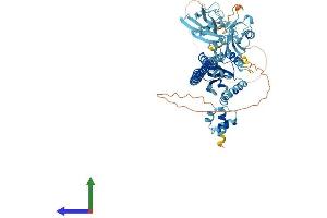 AlphaFold protein structure predicition of Mouse Recombinant Faf1 Protein, UniprotID P54731