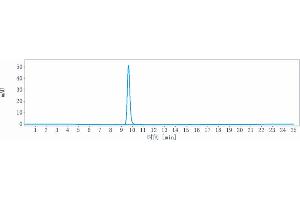 The purity of Anti-CTLA-4 / CD152 Reference Antibody (quavonlimab) is more than 95 % , determined by SEC-HPLC. (Recombinant CTLA4 (Quavonlimab Biosimilar) anticorps)
