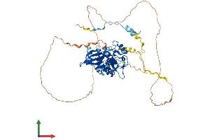AlphaFold protein structure predicition of Mouse Recombinant Pak4 Protein, UniprotID Q8BTW9