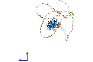 AlphaFold protein structure predicition of Mouse Recombinant Trip6 Protein, UniprotID Q9Z1Y4