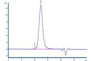 The purity of Cynomolgus / Rhesus macaque B7-2, His Tag (Hied) (ABIN2180854,ABIN2180853) was more than 95 % as determined by .