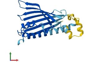 AlphaFold protein structure predicition of Human Recombinant PRELID2 Protein, UniprotID Q8N945