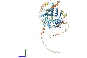 AlphaFold protein structure predicition of Human Recombinant ZNF426 Protein, UniprotID Q9BUY5