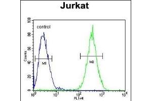 SELPLG Antibody (C-term) (ABIN654425 and ABIN2844160) flow cytometric analysis of Jurkat cells (right histogram) compared to a negative control cell (left histogram). (SELPLG anticorps  (C-Term))