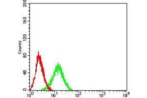 Flow cytometric analysis of Jurkat cells using ADAR mouse mAb (green) and negative control (red).