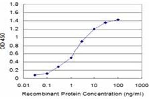 Detection limit for recombinant GST tagged PPFIBP2 is approximately 0. (PPFIBP2 anticorps  (AA 1-100))