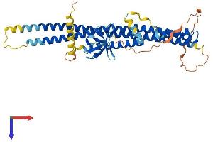 AlphaFold protein structure predicition of Mouse Recombinant Sh3glb2 Protein, UniprotID Q8R3V5