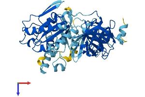 AlphaFold protein structure predicition of Mouse Recombinant Eef1a1 Protein, UniprotID P10126
