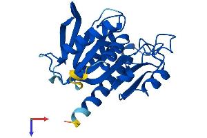 AlphaFold protein structure predicition of Human Recombinant TEX30 Protein, UniprotID Q5JUR7