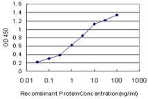 Detection limit for recombinant GST tagged ABL2 is approximately 0. (ABL2 anticorps  (AA 743-842))