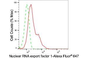 Flow cytometric analysis of Nuclear RNA export factor 1 expression in HepG2 cells using Nuclear RNA export factor 1 antibody (ABIN7799664), 1:2,000). (Recombinant NXF1 anticorps)