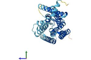 AlphaFold protein structure predicition of Human Recombinant OR51B4 Protein, UniprotID Q9Y5P0