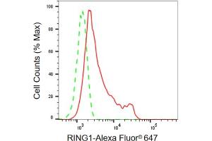 Flow cytometric analysis of RING1 expression in HepG2 cells using RING1 antibody (ABIN7800240), 1:2,000). (Recombinant RING1 anticorps)