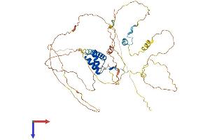 AlphaFold protein structure predicition of Human Recombinant HLX Protein, UniprotID Q14774