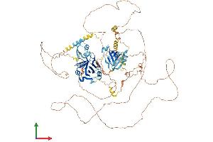 AlphaFold protein structure predicition of Human Recombinant NCOA7 Protein, UniprotID Q8NI08