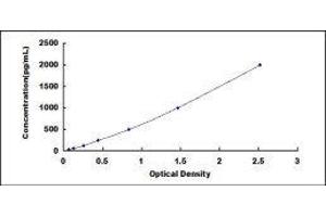 Typical standard curve (Neuropilin 1 Kit ELISA)
