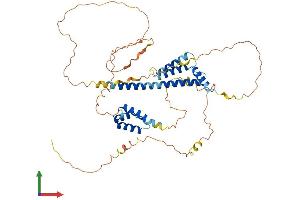 AlphaFold protein structure predicition of Human Recombinant PKNOX2 Protein, UniprotID Q96KN3