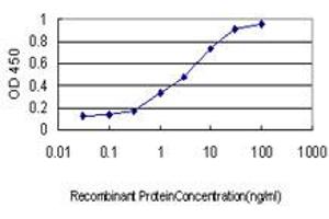 Detection limit for recombinant GST tagged COASY is approximately 0.