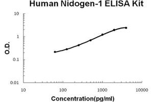 Human Nidogen-1/Entactin/NID-1 PicoKine ELISA Kit standard curve (Nidogen 1 Kit ELISA)