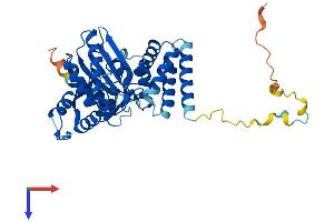 AlphaFold protein structure predicition of Human Recombinant TENT5C Protein, UniprotID Q5VWP2