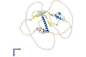 AlphaFold protein structure predicition of Mouse Recombinant Dmrt3 Protein, UniprotID Q80WT2