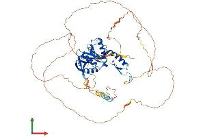 AlphaFold protein structure predicition of Mouse Recombinant Esco2 Protein, UniprotID Q8CIB9