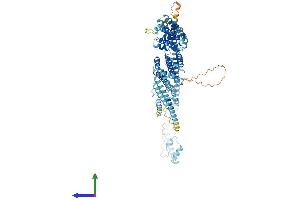 AlphaFold protein structure predicition of Human Recombinant COG2 Protein, UniprotID Q14746