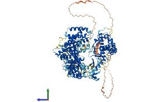 AlphaFold protein structure predicition of Mouse Recombinant Tert Protein, UniprotID O70372