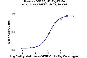 Immobilized Human VEGF R3, hFc Tag at 1 μg/mL (100 μL/well) on the plate.