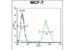 Flow cytometric analysis of MCF-7 cells (right histogram) compared to a negative control cell (left histogram). (RNF19B anticorps  (AA 369-398))