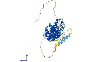 AlphaFold protein structure predicition of Mouse Recombinant Snx21 Protein, UniprotID Q3UR97