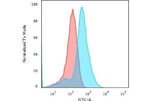 Flow Cytometric Analysis of MeOH-fixed HepG2 cells using Glypican-3 Monoclonal Antibody (1G12) followed by Goat anti- Mouse- IgG-CF488 (Blue); Isotype Control (Red). (Glypican 3 anticorps  (AA 511-580))