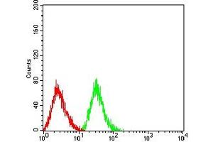 Flow cytometric analysis of HL-60 cells using CD43 mouse mAb (green) and negative control (red).