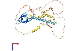 AlphaFold protein structure predicition of Mouse Recombinant Tamalin Protein, UniprotID Q9JJA9