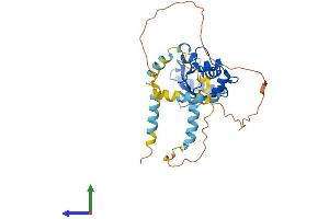 AlphaFold protein structure predicition of Human Recombinant UBE2U Protein, UniprotID Q5VVX9