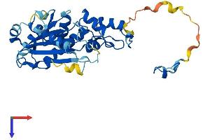 AlphaFold protein structure predicition of Mouse Recombinant Rnaseh2a Protein, UniprotID Q9CWY8