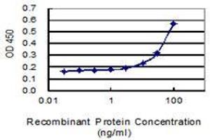 Detection limit for recombinant GST tagged SAR1A is 3 ng/ml as a capture antibody. (SAR1A anticorps  (AA 1-198))