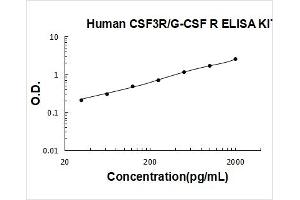 Colony Stimulating Factor 3 Receptor (Granulocyte) (CSF3R) ELISA Kit