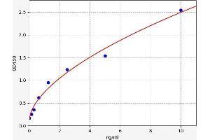 Typical standard curve (NBR1 Kit ELISA)