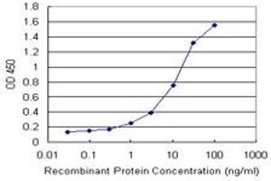 Detection limit for recombinant GST tagged FTL is 1 ng/ml as a capture antibody. (FTL anticorps)